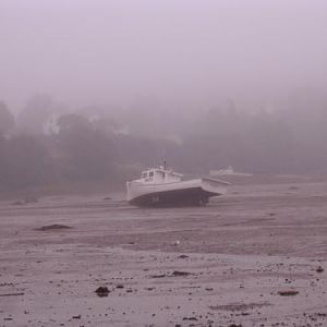 Bay of fundy in the fog, at low tide, lol