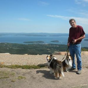 Jim, Bailey and Joey on top of Cadillac Mountain