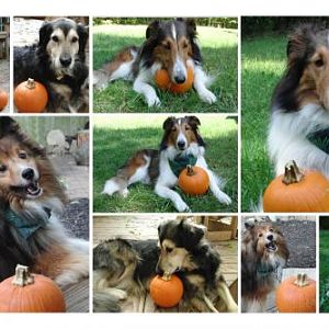October(1) 01