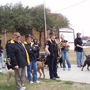 Our team the Belconnen Bullets waiting for the street parade.  That cute little sheltie in the middle is Rilly - Deska's new girlfriend.
