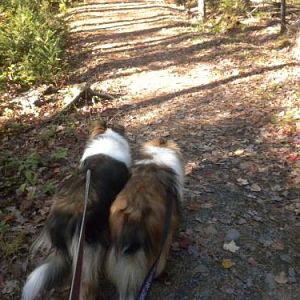 Walking shoulder to shoulder