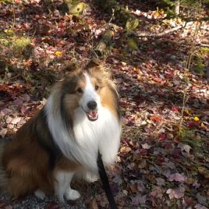 Joey stopping for a pose