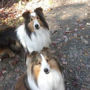 Come on, mom--let's get moving...