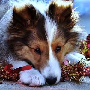 What a sweet baby face.