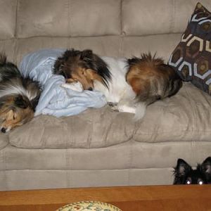 That's either a gremlin...or Toby.  :)