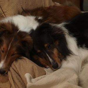 Too much turkey!  We're stuffed!