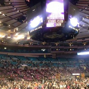 What a crowd!