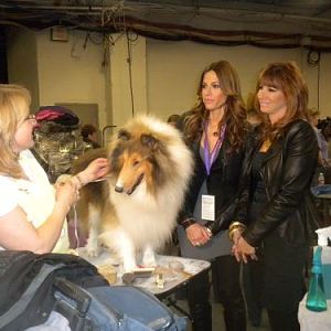the "housewives" were being filmed