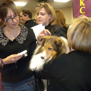 lots of Annie admirers :)