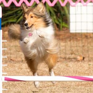 Lexi jump
