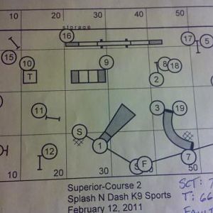 TDAA - Standard2