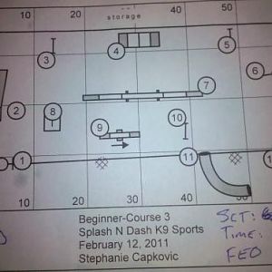 TDAA - Std3 Beginner