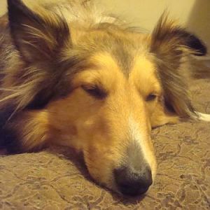 agility makes me tired