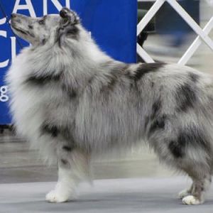 Grizz 19 months Land O' Lakes 1-11