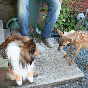 IMG 2587 (Large)