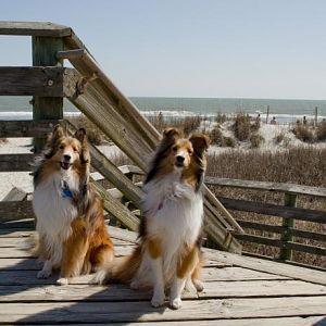L & B beach