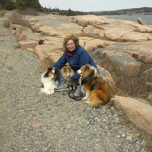 All 3 pups at the ocean