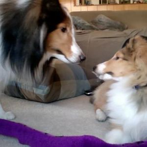 Bailey & Lucy