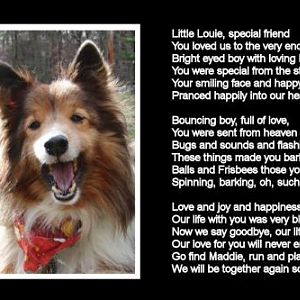Louie memorial