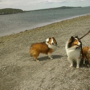 Crossing to Bar Island