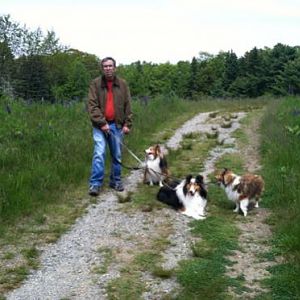 Path on Bar Island