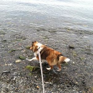 Lucy discovers the ocean