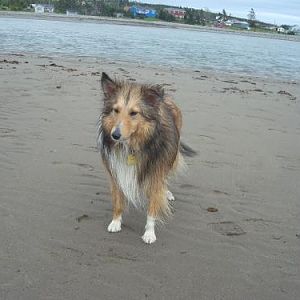 June 2011, rainbow haven