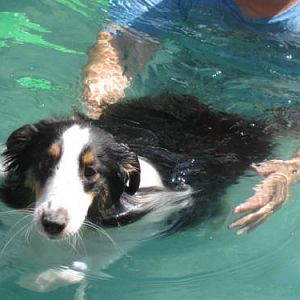 Look ma!  I can swim!