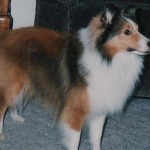 Justice at 1 yr