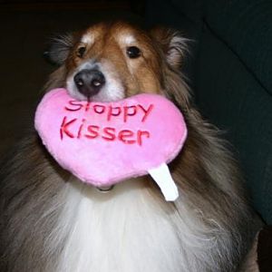 another sloppy kiss