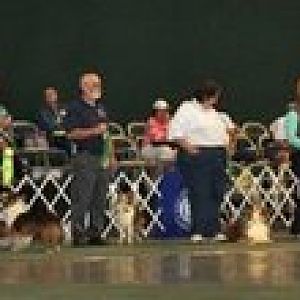 2009 Rescue Parade