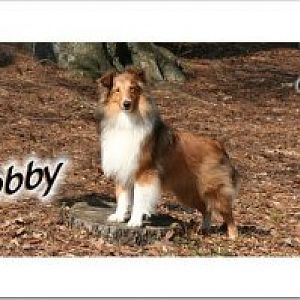 bobbytagsmall