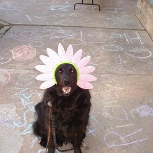 easter bonnet