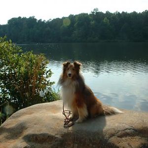 lake2