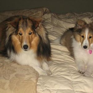 ready for bed