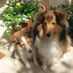 Springtime girls
