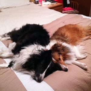 Best Buddies...