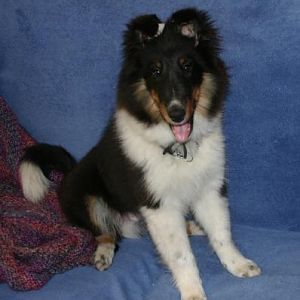 Justice 16 wks