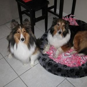 Meggie with her new big sister!