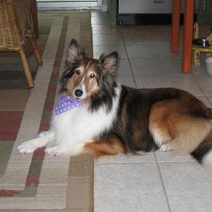 09.03.11 First Grooming