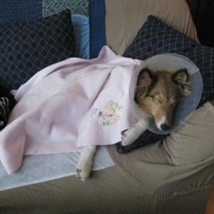post op girl