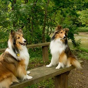 BL Benches4