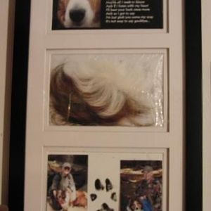 Maddie's frame
