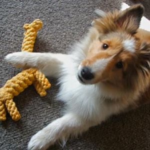 Second day at our house. He liked the giraffe!