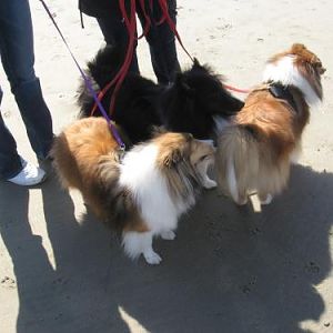3 from OC...