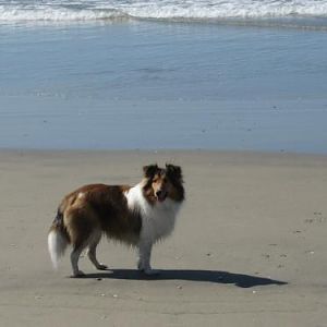 Ember lovin' life!