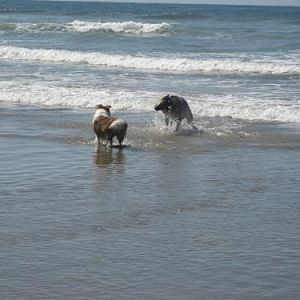 Ember with one of the stick guys...