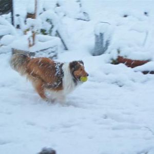 Neither rain nor snow nor dark of night will call my ball game!