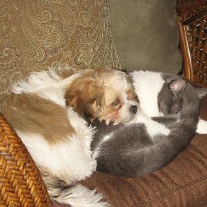 Sleeping with Lacey...