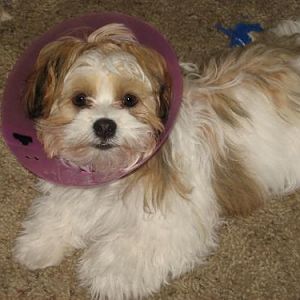 Rockin' the cone...